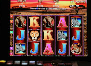 掌中彩welcome最新版